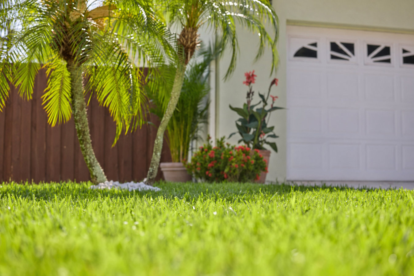 Drought-tolerant turf in West Covina, CA